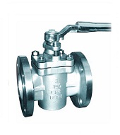 Plug Valve